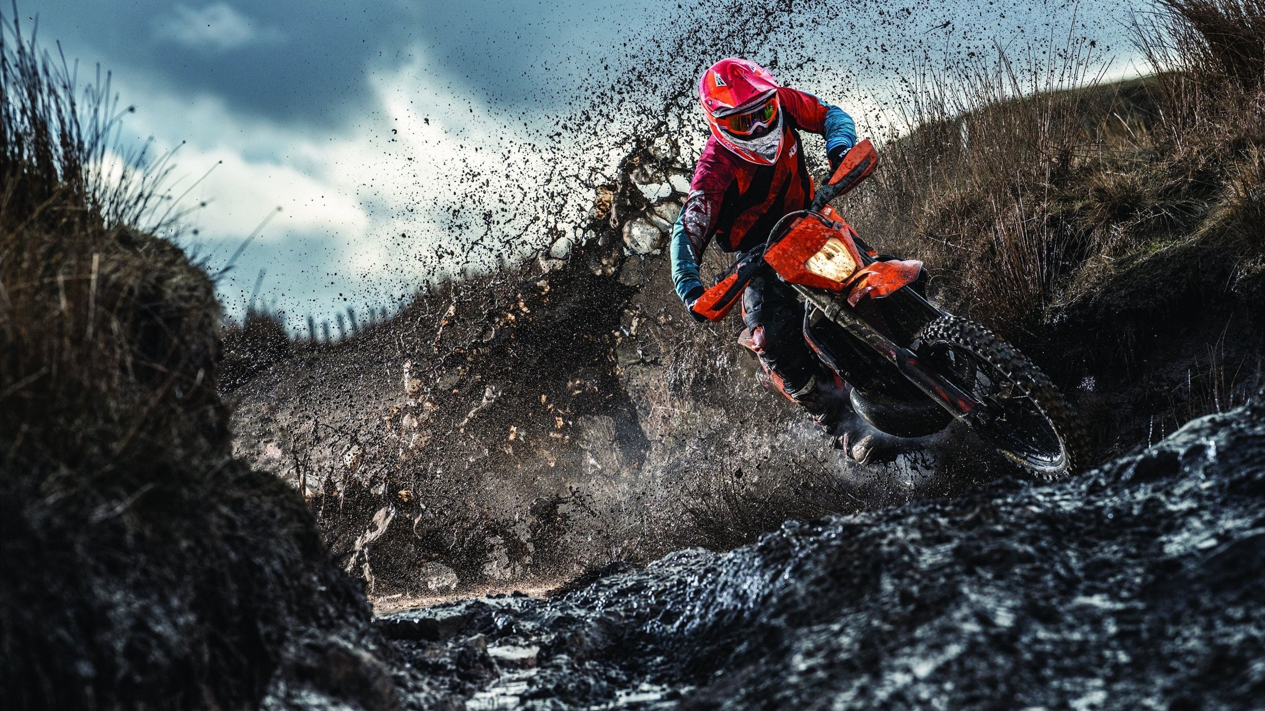 灰熊重用年轻球员着眼未来培养计划，灰熊最强球员