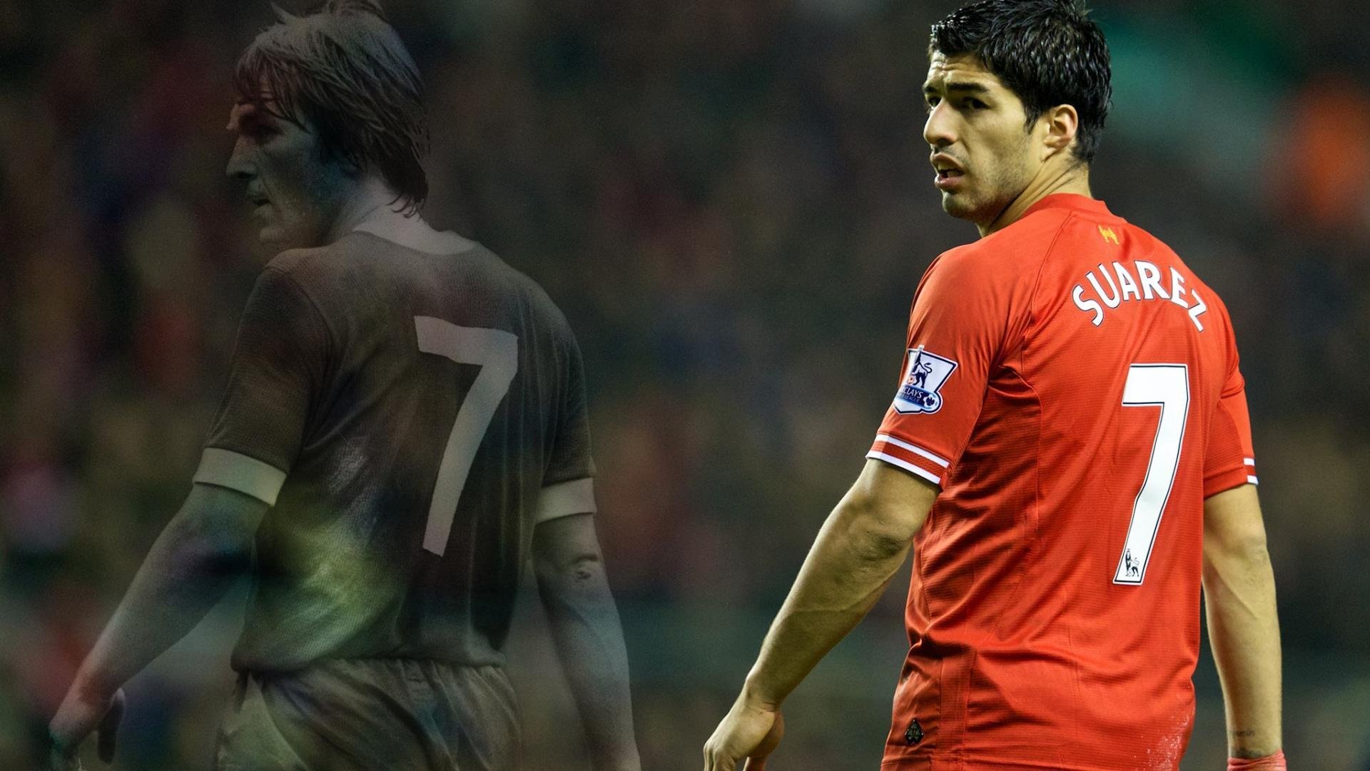 自由泳荷兰冲刺阶段稳如磐石，荷兰自由王国